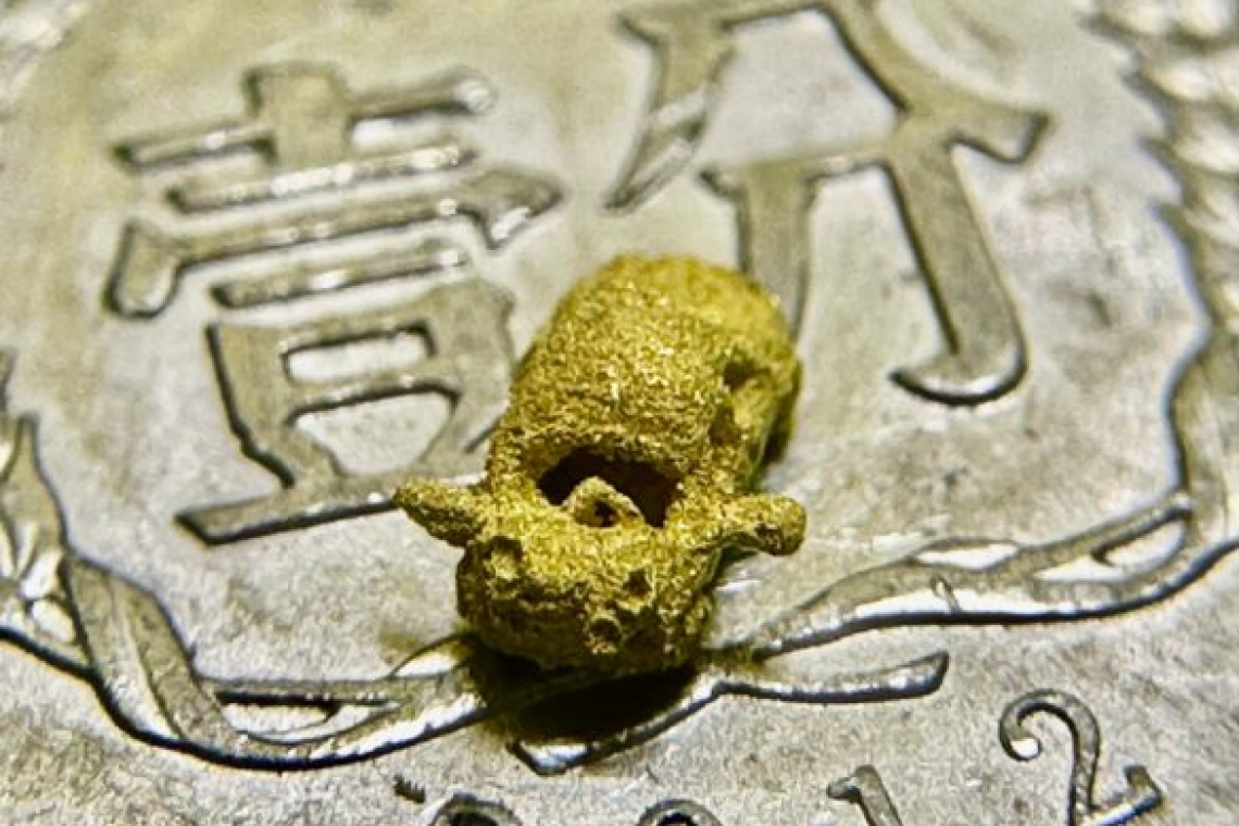 世界上最小的 雕刻 黃金小汽車