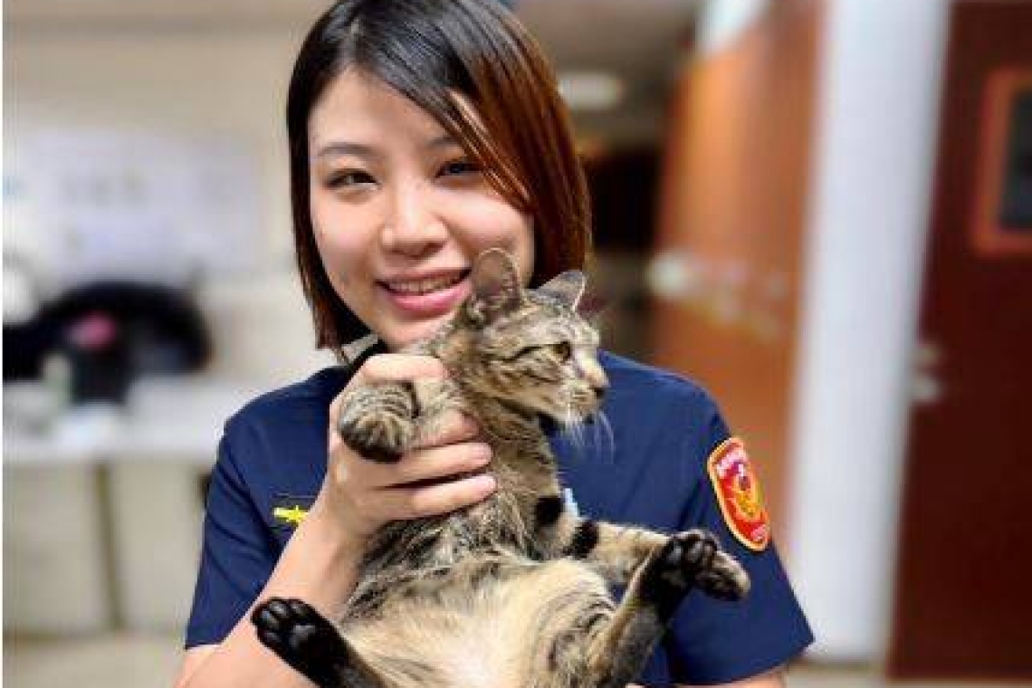 萌貓大街迷途記／大同警巡邏熱心　助喵星人返家