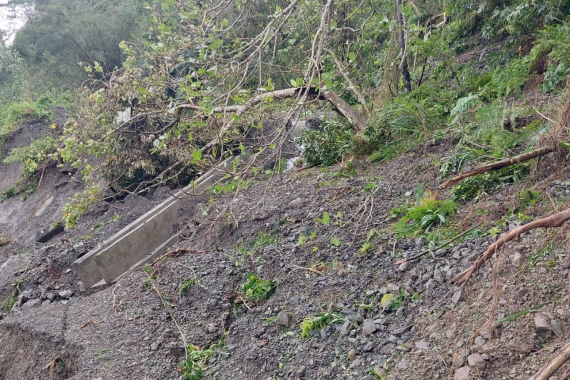 東海岸遺失真相/青農颱風災損求助無門