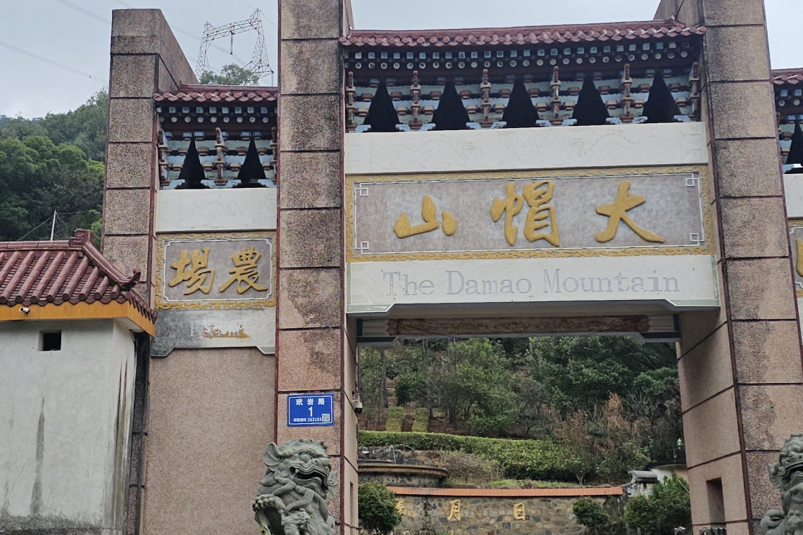 玳瑁山（亦稱大帽山）位於福建省漳州市龍海區西南角，海拔794米，與梁山、皁山、太武山並列，爲閩南四大名山之一。  金仙岩