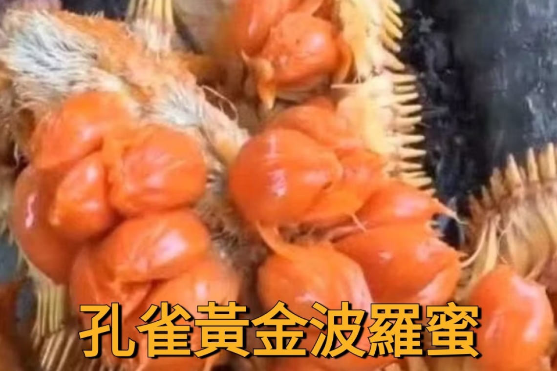 推動新主食如獲國家認證，台灣將成為全球第一個將波羅蜜列為主食分類國家及地區。