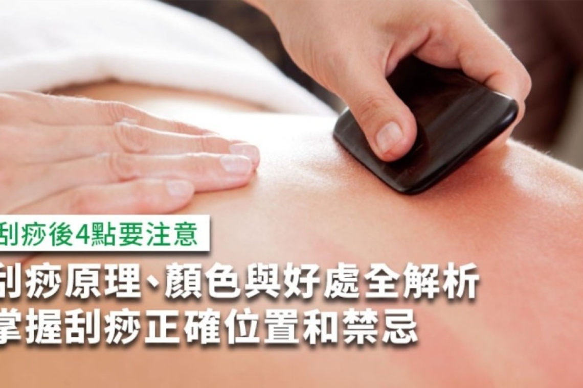 刮痧認識健康～看看您是哪個顏色～全解析（免費結緣孔雀霜）