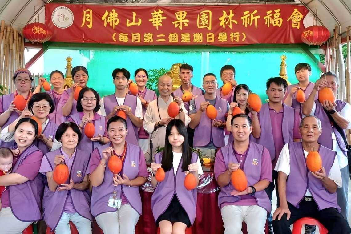 桃園月佛山淨光寺～長滿！目倍果 常悟法師#栽培
