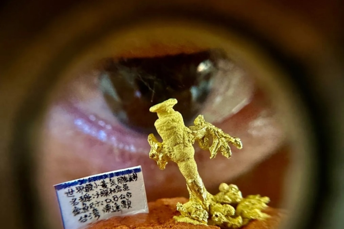 世界最小黃金雕刻作品《子彈與金魚》震撼登場陳逢顯以「子彈不長眼睛」呼籲和平