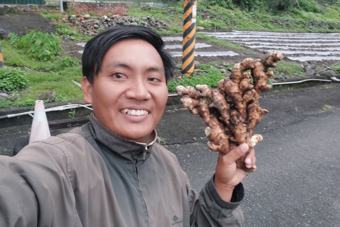 社團法人臺灣臺東可持續生態農業發展協會 鄭林俊傑理事長領航臺灣農業改革　成功培育出全臺首例零檢出安全嫩薑