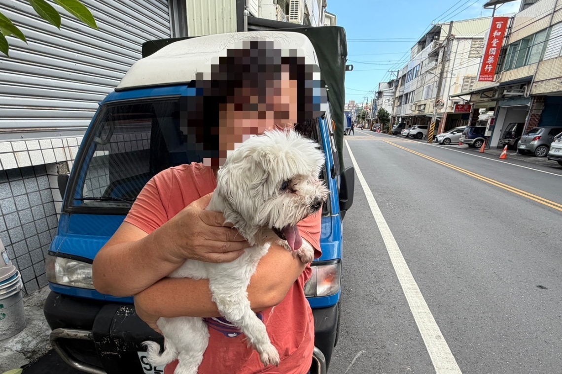 老犬走失吉安街頭∣警方耐心守護順利返家