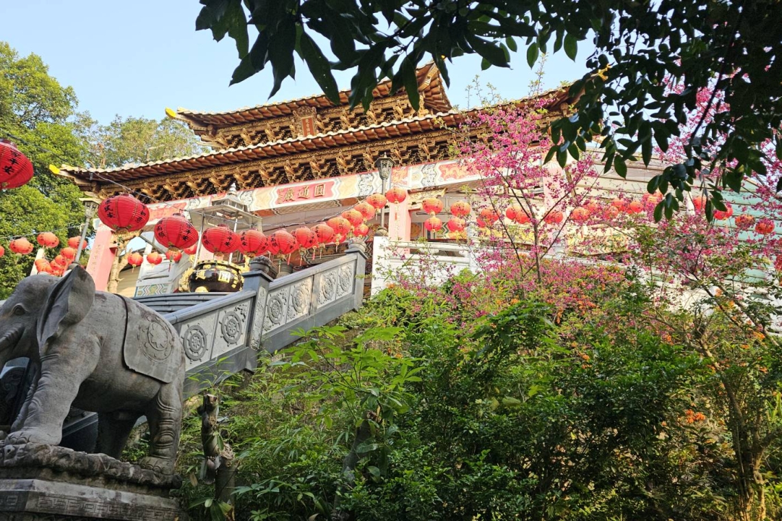 活動邀請｜2026長虹春日公益百人健行～圓山風景區