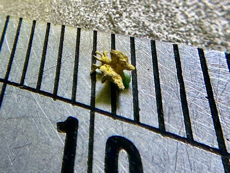 N20240910 01 P01