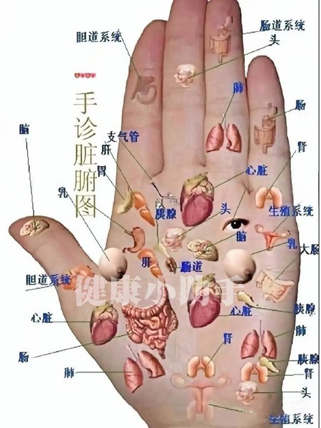 FB IMG 1750001246344