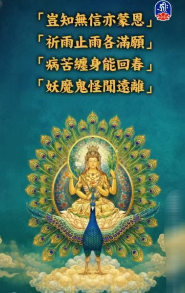 FB IMG 1781129787904
