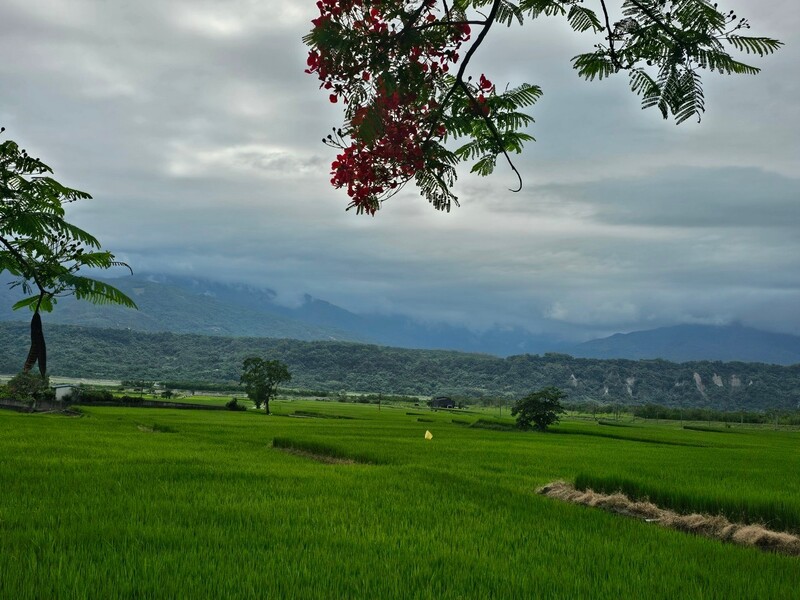 LINE_ALBUM_青山綠水_251221_2.jpg